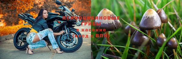 прущий лед Михайловск