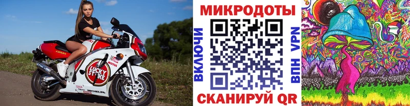 гидра ссылка  хочу   Гаджиево  Псилоцибиновые грибы мухоморы 